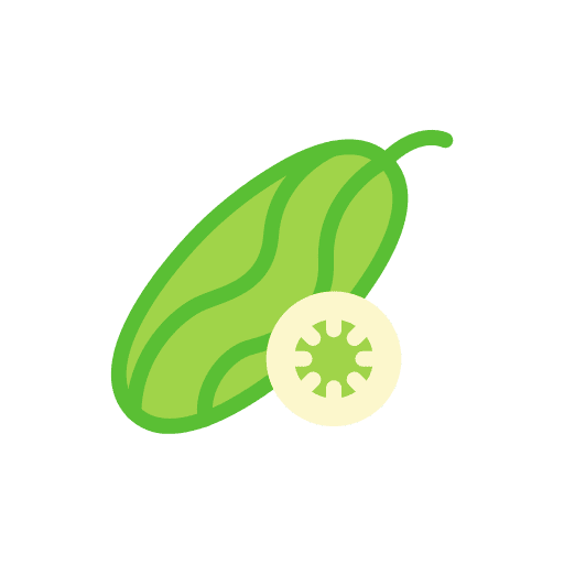 Cucumber cucumber organic nutrition icon