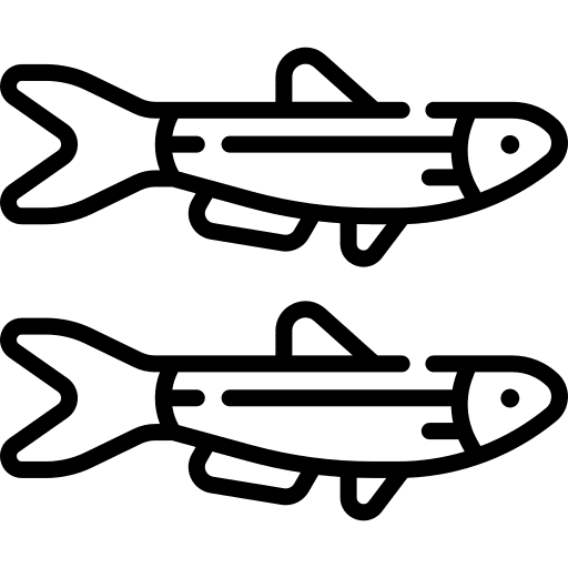 Anchovy sea life food and restaurant animal kingdom icon