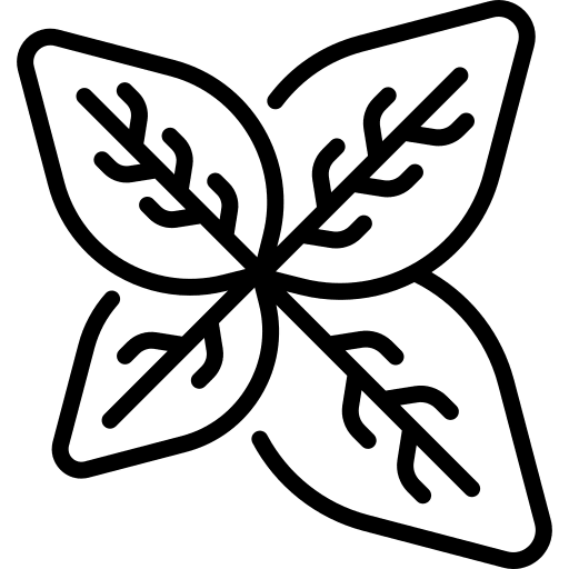 Basil plant organic food and restaurant icon