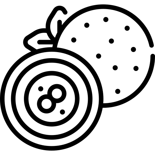 Arancini gastronomy food and restaurant sicily icon