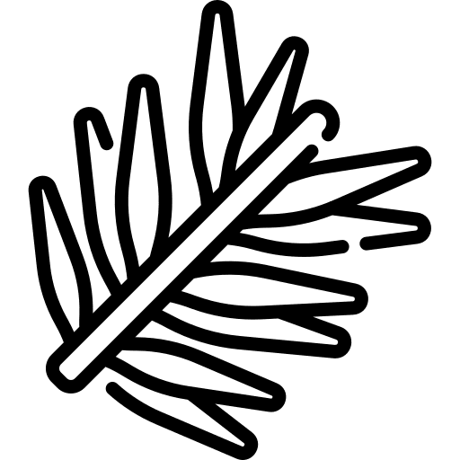 Rosemary scent aromatic rosemary icon