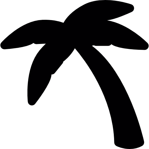 Coconut tree standing  nature palm palm tree icon