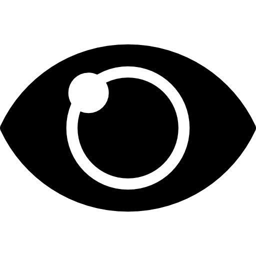 Shiny eye shiny view visibility icon