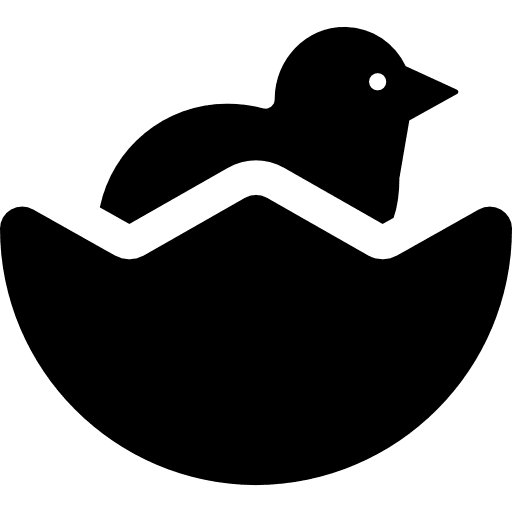 Baby chicken and half egg shell egg farming farm icon