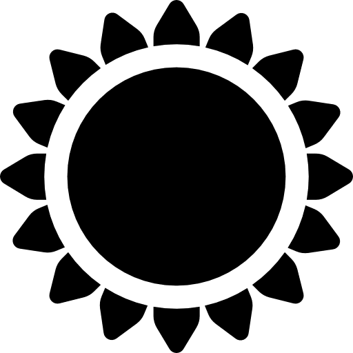 Sunflower spring nature flowers icon