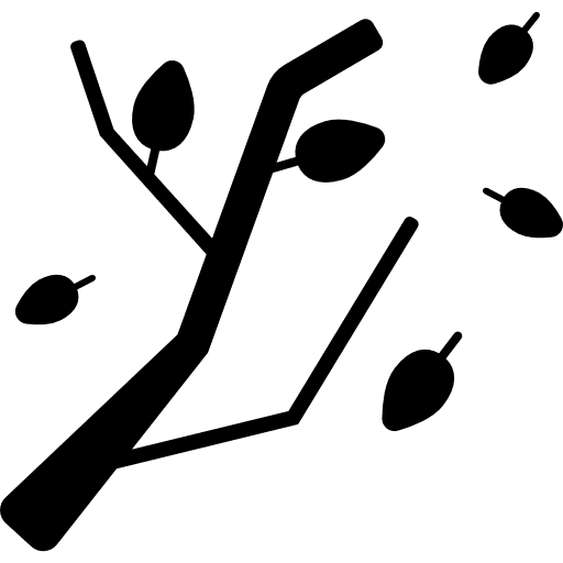 Autumn leaves branch falling falling leaves icon