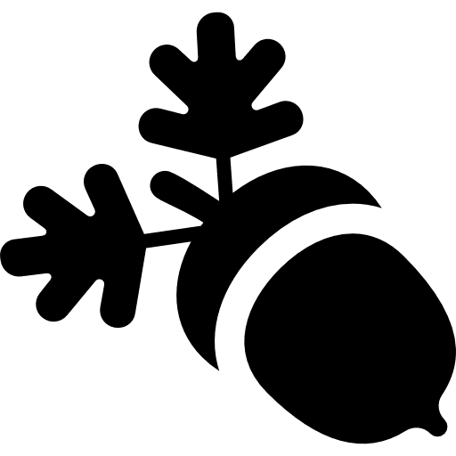 Acorn winter christmas ornament signs icon