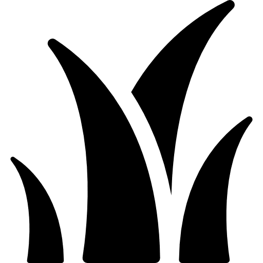 Grass leaves plant leaf nature plant icon