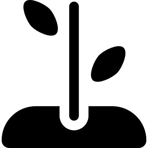 Growing plant growing seed tree sprout icon