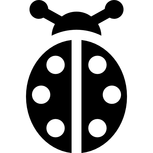 Ladybug animals spring insect icon