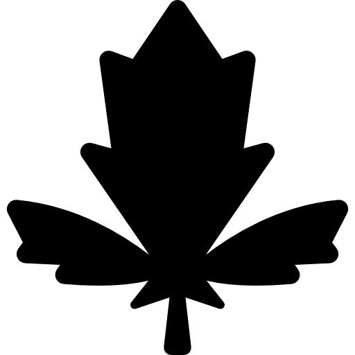 Maple leaf leaves nature autumn icon