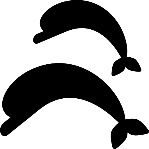 Dolphins ocean animals beach icon