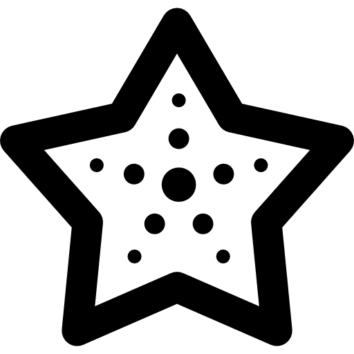 Starfish sea shapes sea life icon