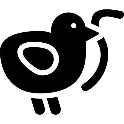 Range chicken chick animals chicken icon