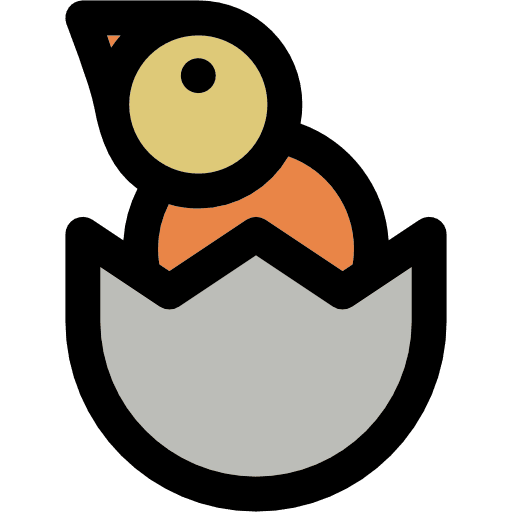 Chick chick chicken animals icon