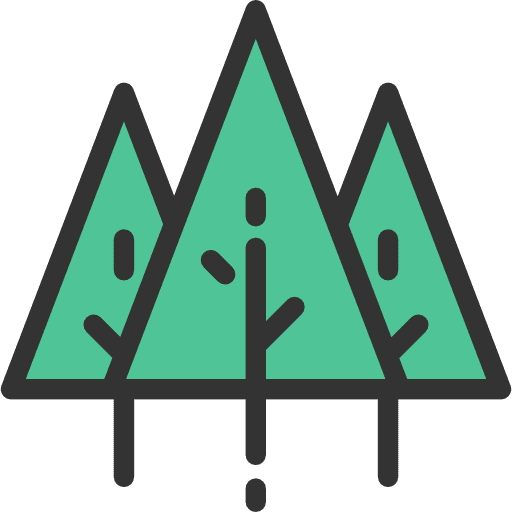 Forest tree pine forest icon