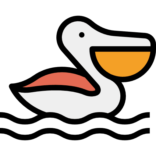 Pelican animal animals zoo icon