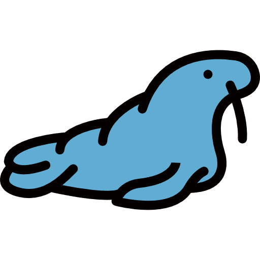 Walrus zoo walrus animal icon