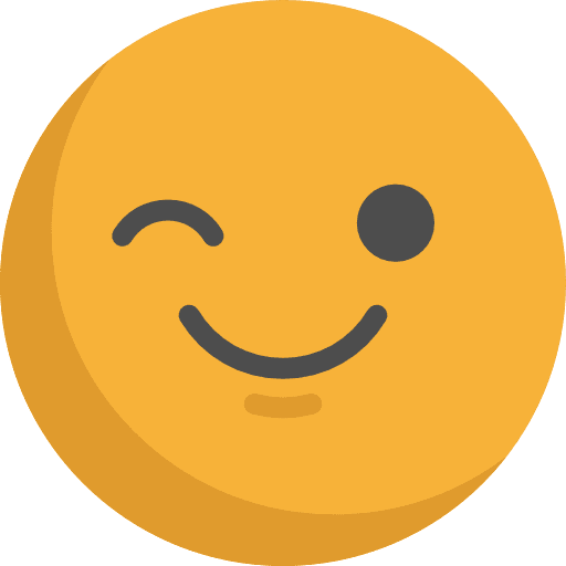 Wink wink smileys feelings icon