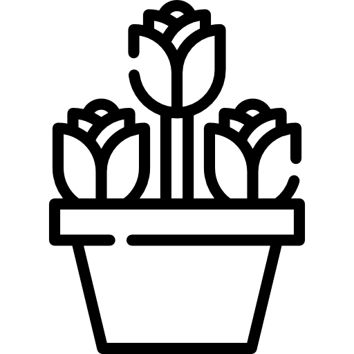 Flower rose blossom nature icon