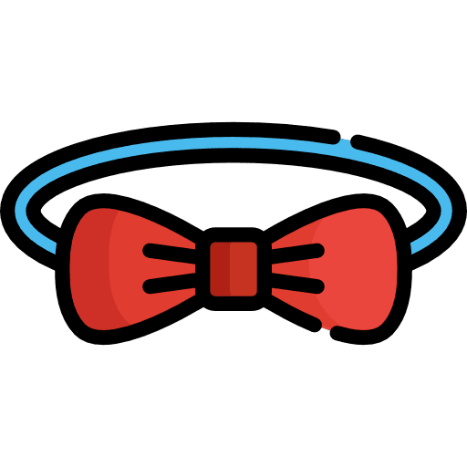 Bow tie elegant clothing bow tie icon