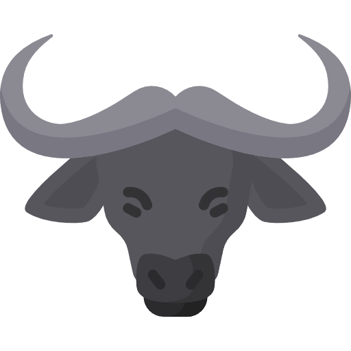 Buffalo mammal animal kingdom zoo icon