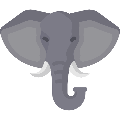 Elephant animals animal kingdom elephant icon