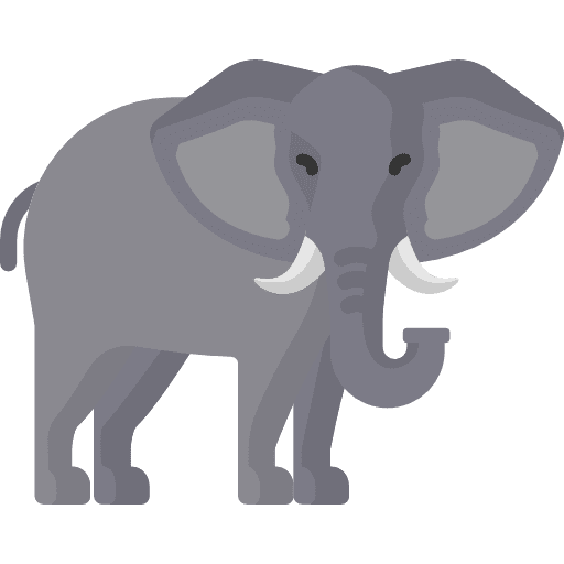 Elephant elephant zoo mammal icon