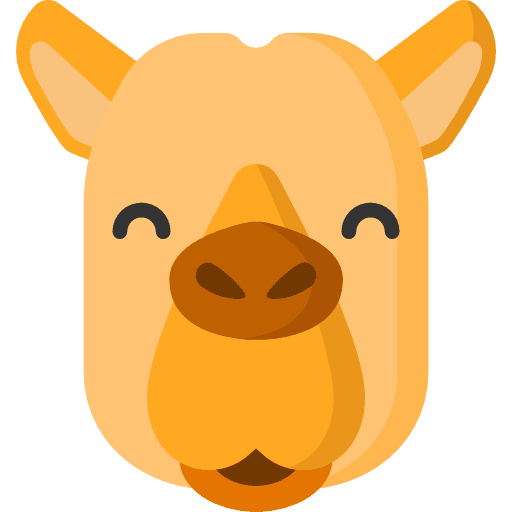 Camel animals zoo mammal icon