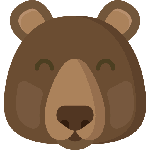 Bear bear zoo animal kingdom icon