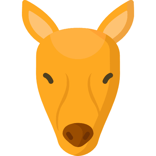 Mouse deer mouse deer animals deer icon