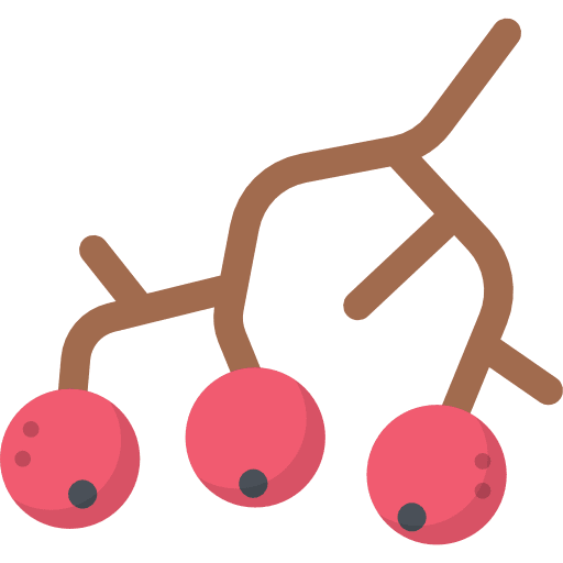 Berries grape bouquet grapes icon