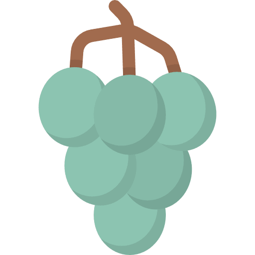Grapes bouquet berry berries icon