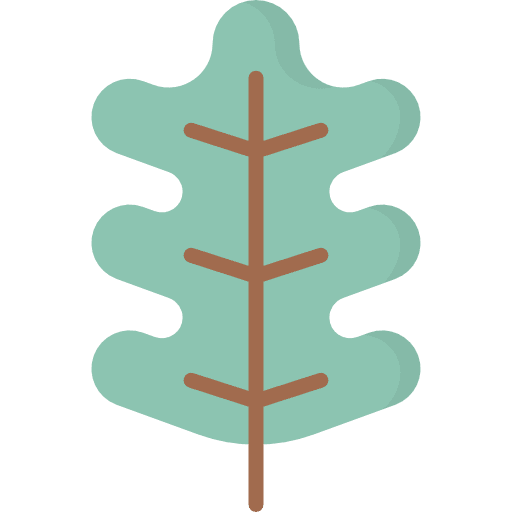 Oak leaf oak leaf botanical garden icon