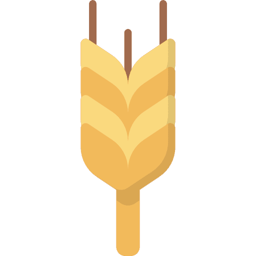 Wheat nature food wheat grain icon