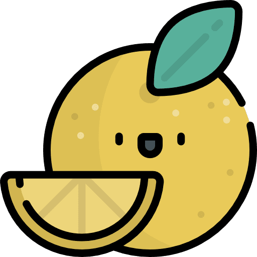 Orange organic food vegan icon