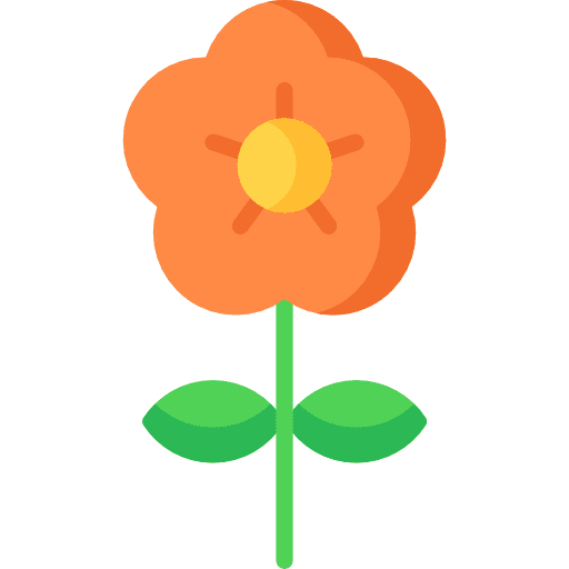 Flower flower petals nature icon