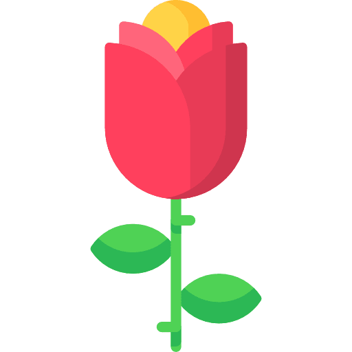 Rose blossom nature rose icon