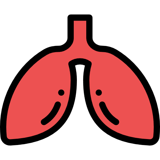 Liver body parts medical tools and utensils icon