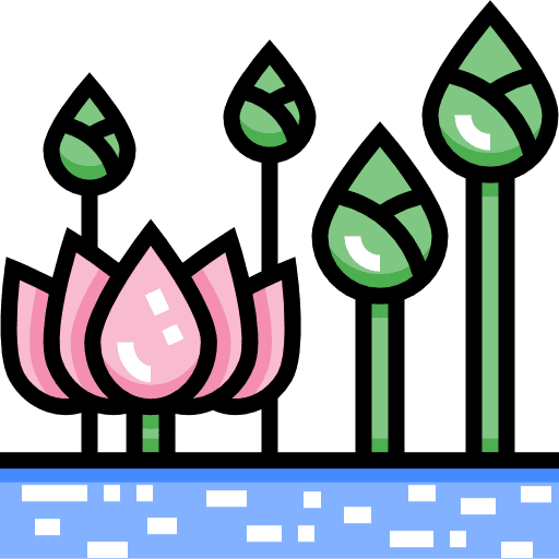 Lotus flower garden nature icon