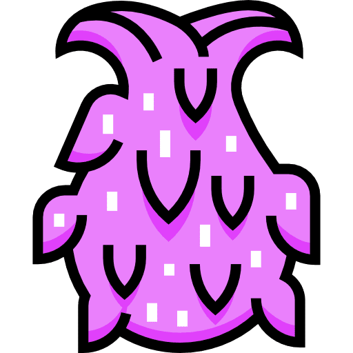 Dragon fruit dragon fruit diet organic icon