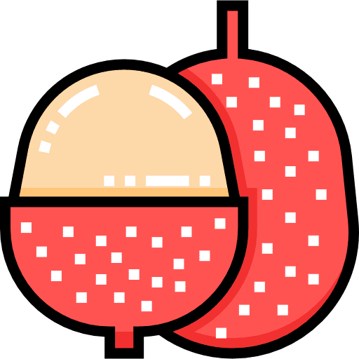 Lychee food and restaurant organic healthy food icon