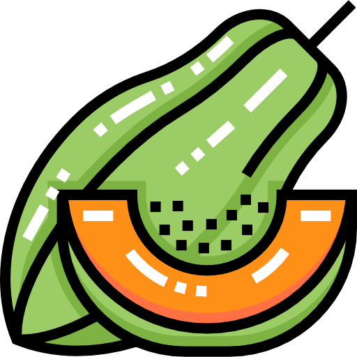Papaya vegetarian papaya vegan icon