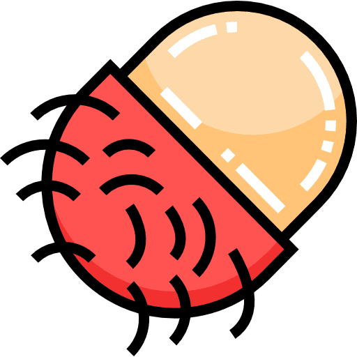 Rambutan food and restaurant rambutan fruit icon