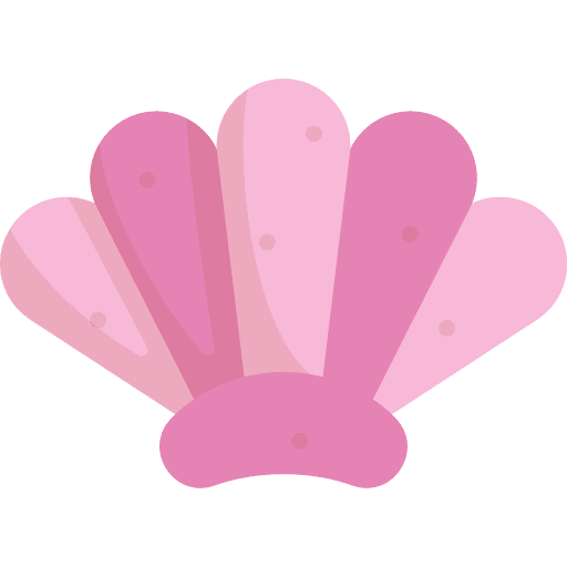 Shell animal mollusk nature icon