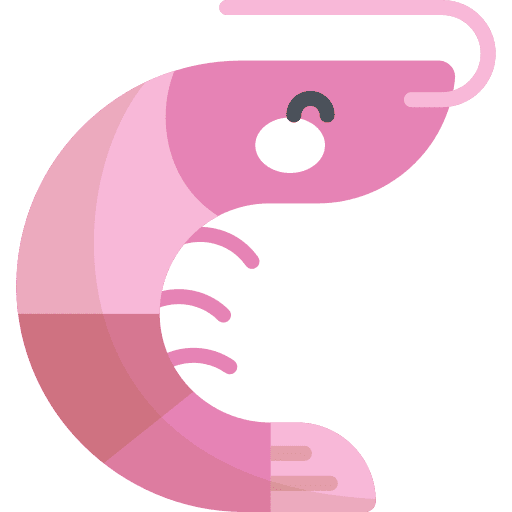 Shrimp shellfish animals sea life icon
