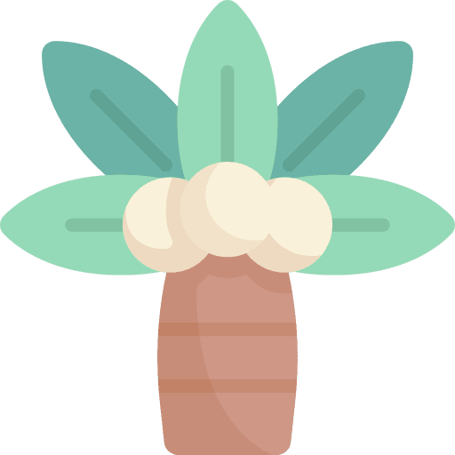 Palm tree palm tree botanical summer icon