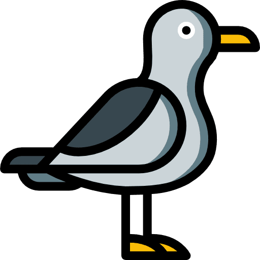 Seagull fauna bird animals icon