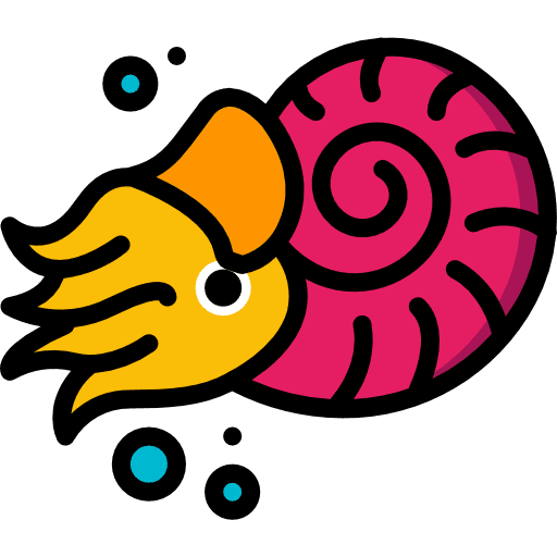 Nautilus shell nautilus sea life icon