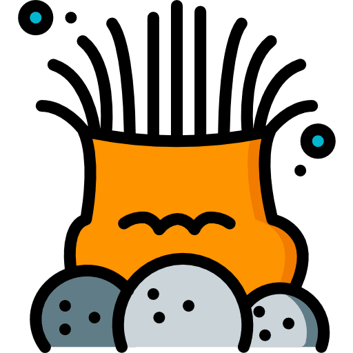 Sea anemone sea anemone animals aquatic icon